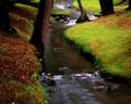 Babbling Brook (soft focus, not final)