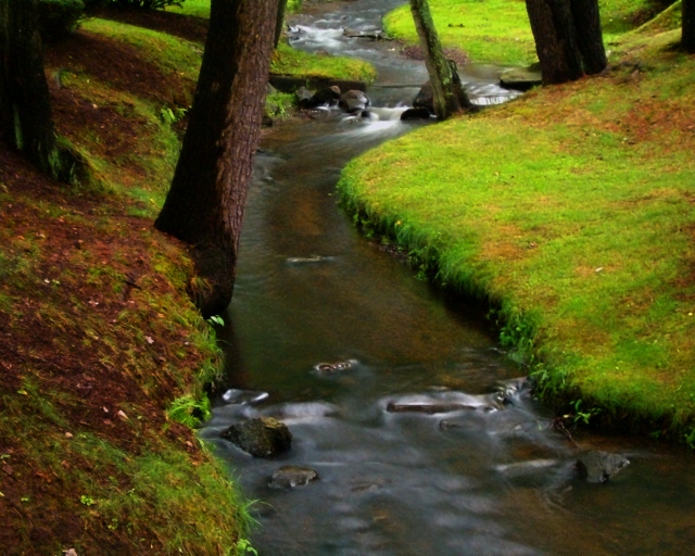 Babbling Brook