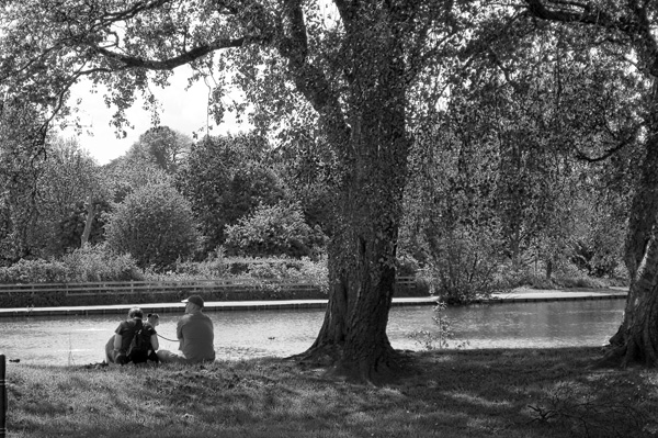 A Lazy Afternoon