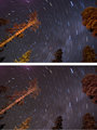raw vs. jpeg