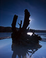 contre jour