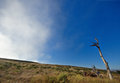 Pierce Point Ranch 3
