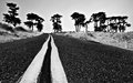 Up the Road