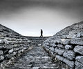 the lonely winter