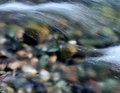 DSC_7704.jpg