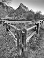 The Watchman