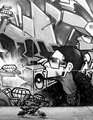 Graffiti with Pigeons