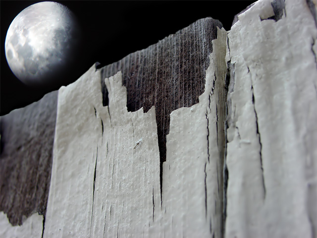 fence and moon