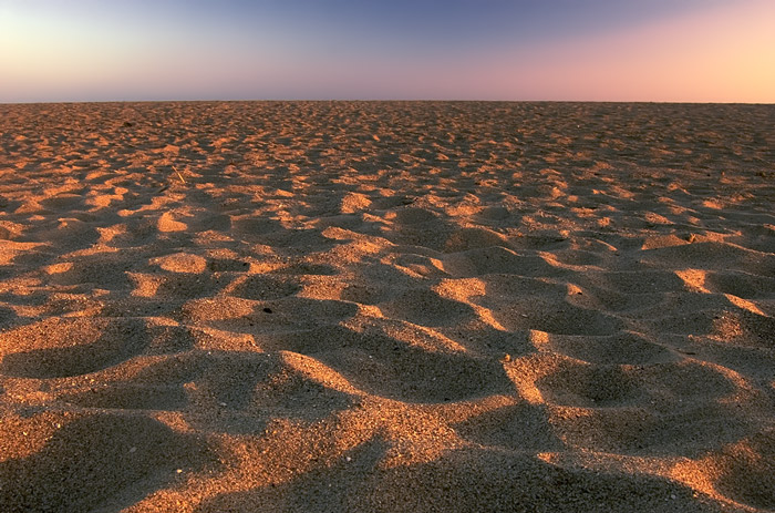 ocean dunes