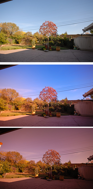 blue-yellow-polarizer