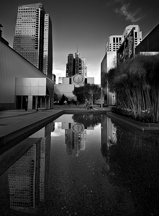 MoMA