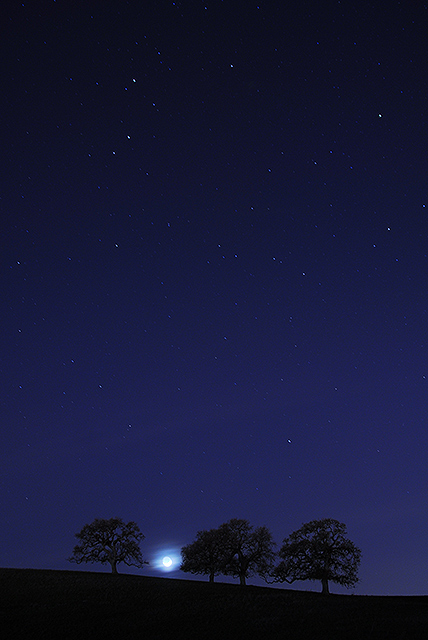the stargazers6