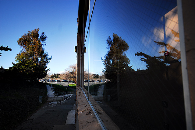 reflection.jpg