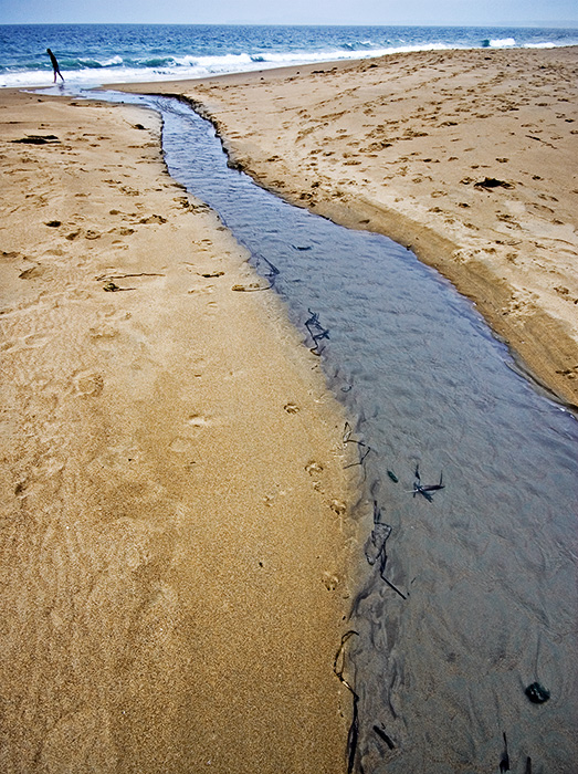 Walk