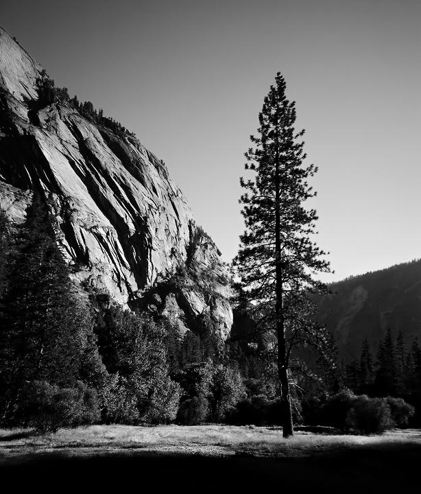 DSC_49262.jpg