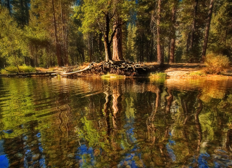 Natural Flood Filter