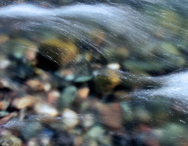 DSC_7704.jpg