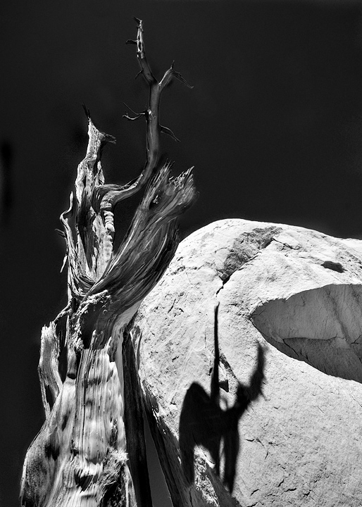 petroglyph shadow