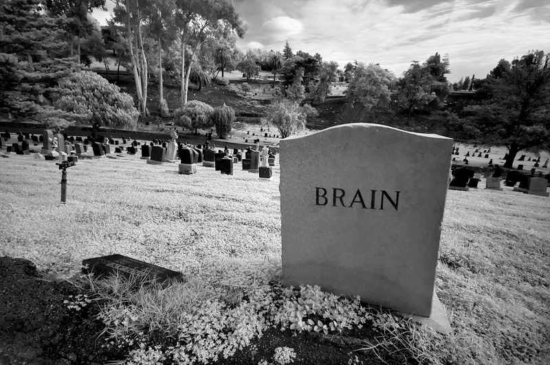 Braindead