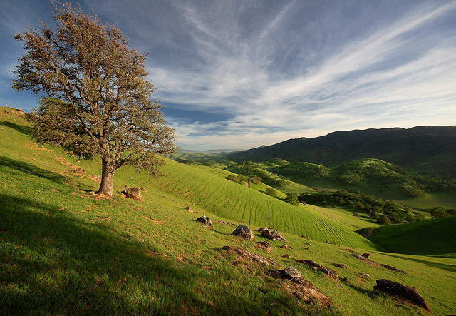 Round Valley Regional Preserve