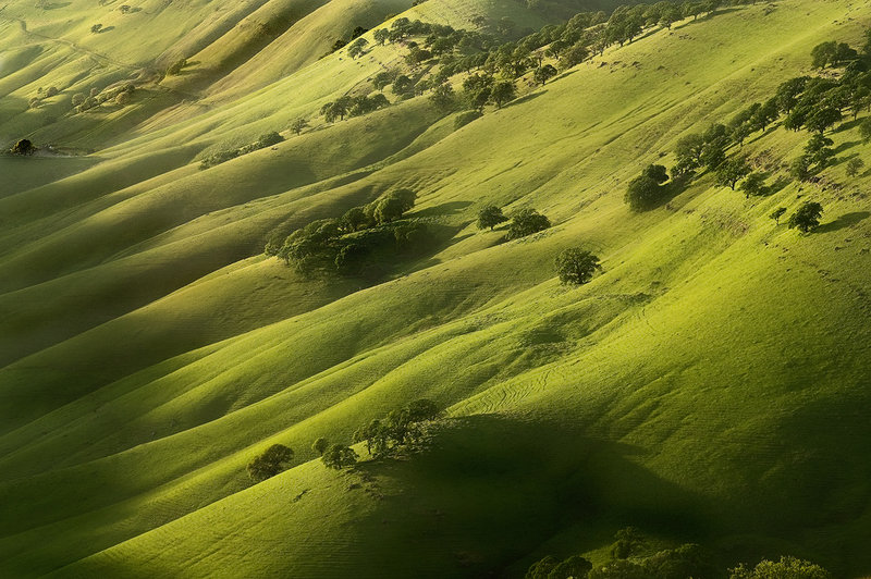 Round Valley Regional Preserve II