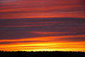 DSC_2664-webcopy.jpg
