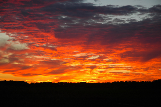 DSC_4121-webcopy.jpg