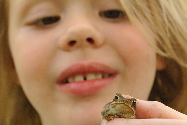 sarah frog small.jpg