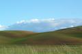 Hills of the Palouse