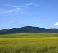 Yellow Mountain Sky