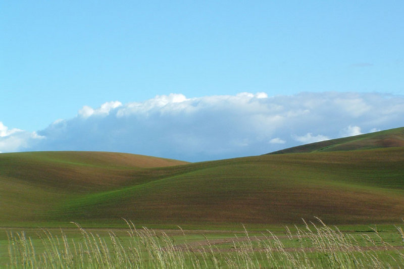 Hills of the Palouse