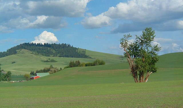 Landscape