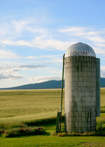 Grain Elevator