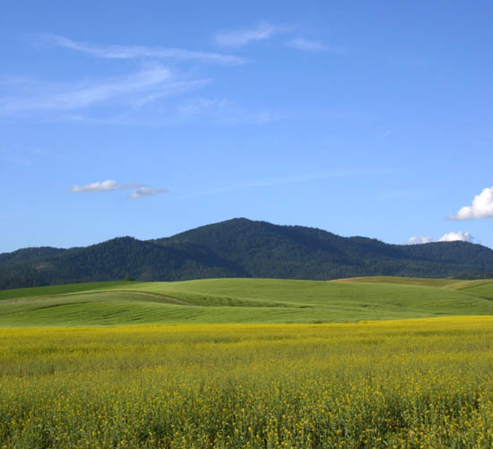 Yellow Mountain Sky