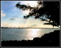 Setting Sun