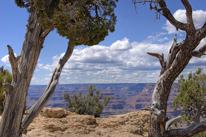 Canyon-View.jpg