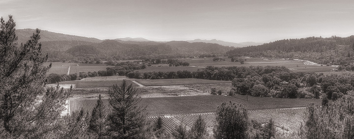 Napa Valley
