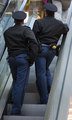 Police butts.jpg