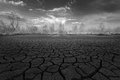 Bayou_drought_IMG_0738_BW_6.jpg