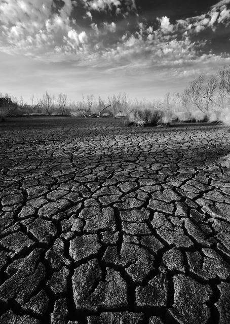 Bayou_drought_IMG_0750_BW_6.jpg