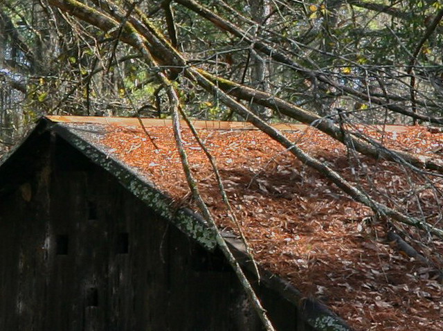 boathouse_5stitch_fullcrop.jpg