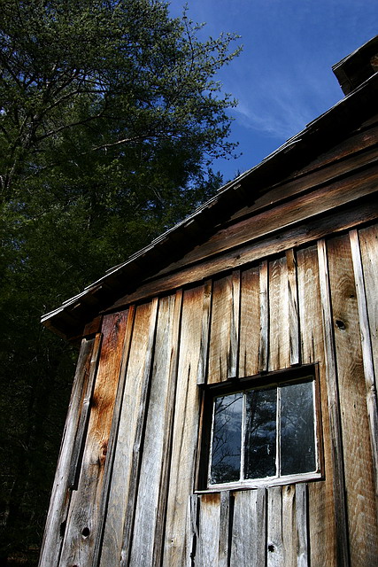 Cabin Window