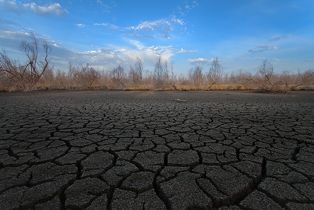 Bayou_drought_IMG_0738_640.jpg