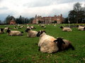 Kentwell Hall.jpg