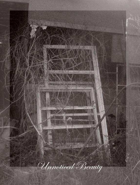 unnoticed1.jpg