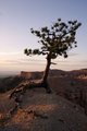 Bryce Canyon, Utah 2