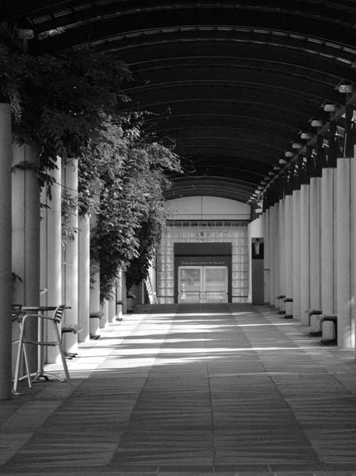 Walkway