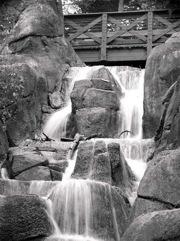 Water Fall