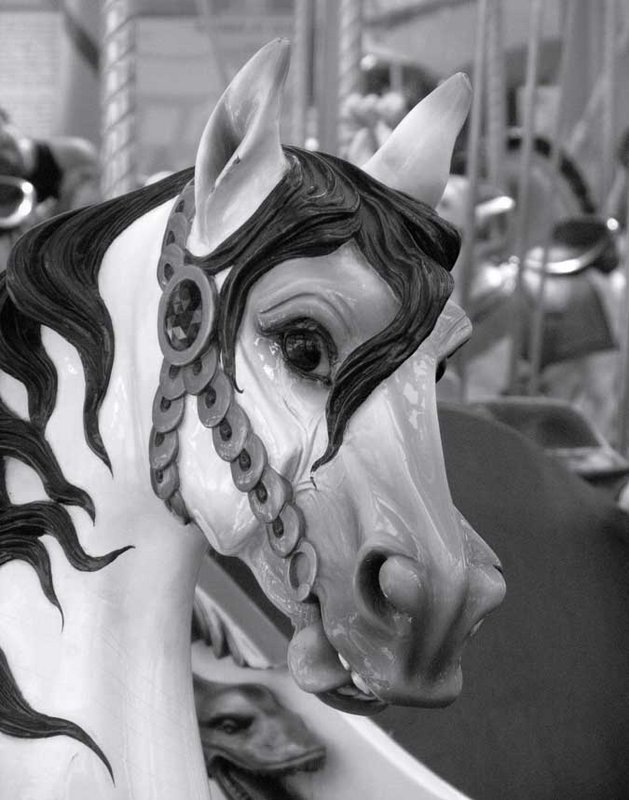 The Horse