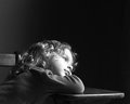 Daydreamer